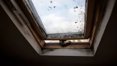 Jak umyć okno dachowe z dolnym otwieraniem